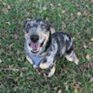 Meet your Posher, Jordan